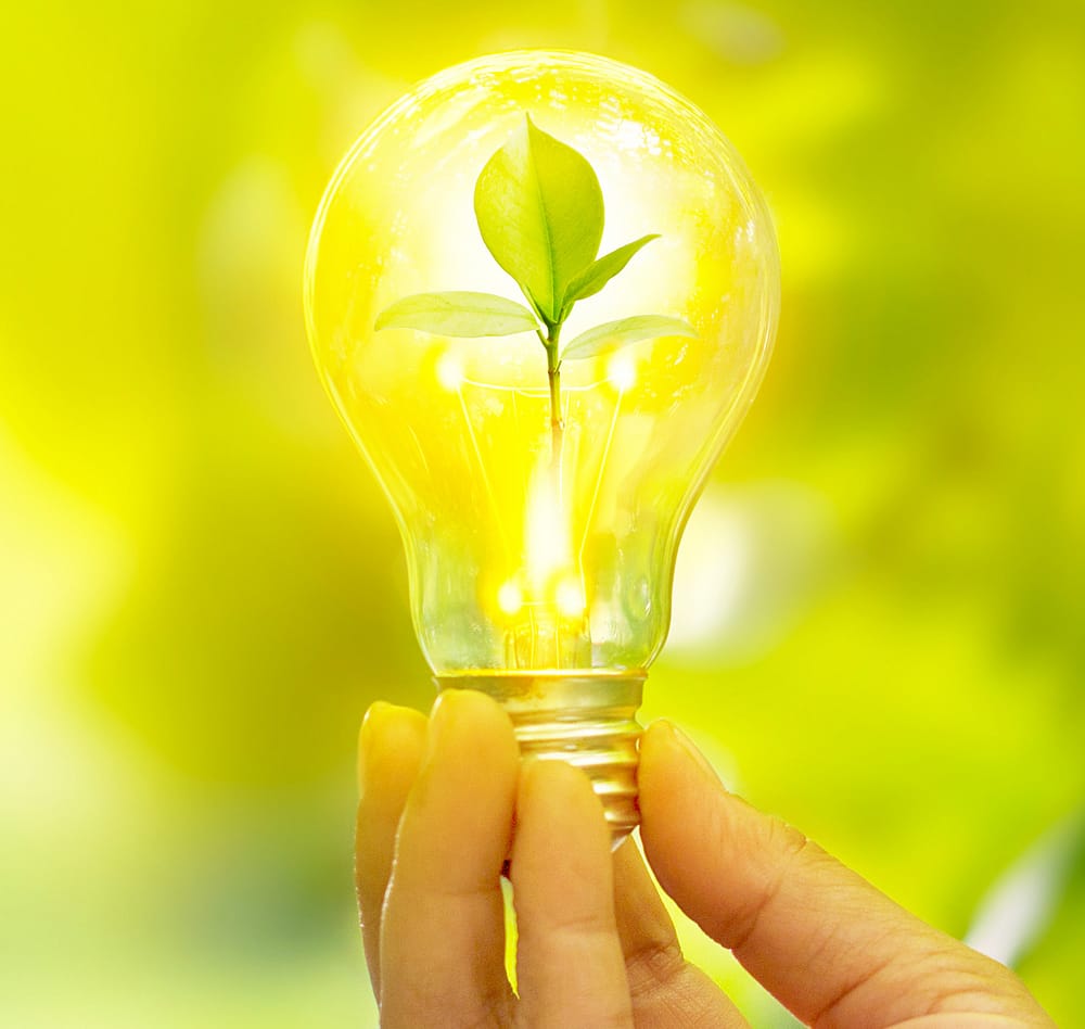 hand holding a light bulb with energy and fresh green leaves inside on nature background, soft focus