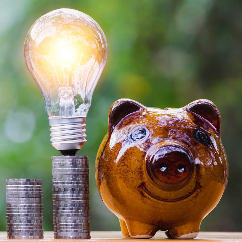 Coins and light bulb with piggy bank put on the wooden for saving money,energy concept in nature background.