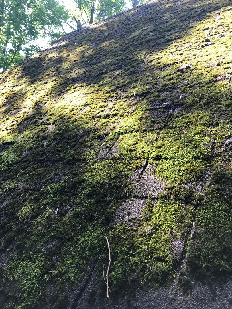 NET TOIT NETTOYAGE DE TOITURE MOUSSE ET LICHEN (2)